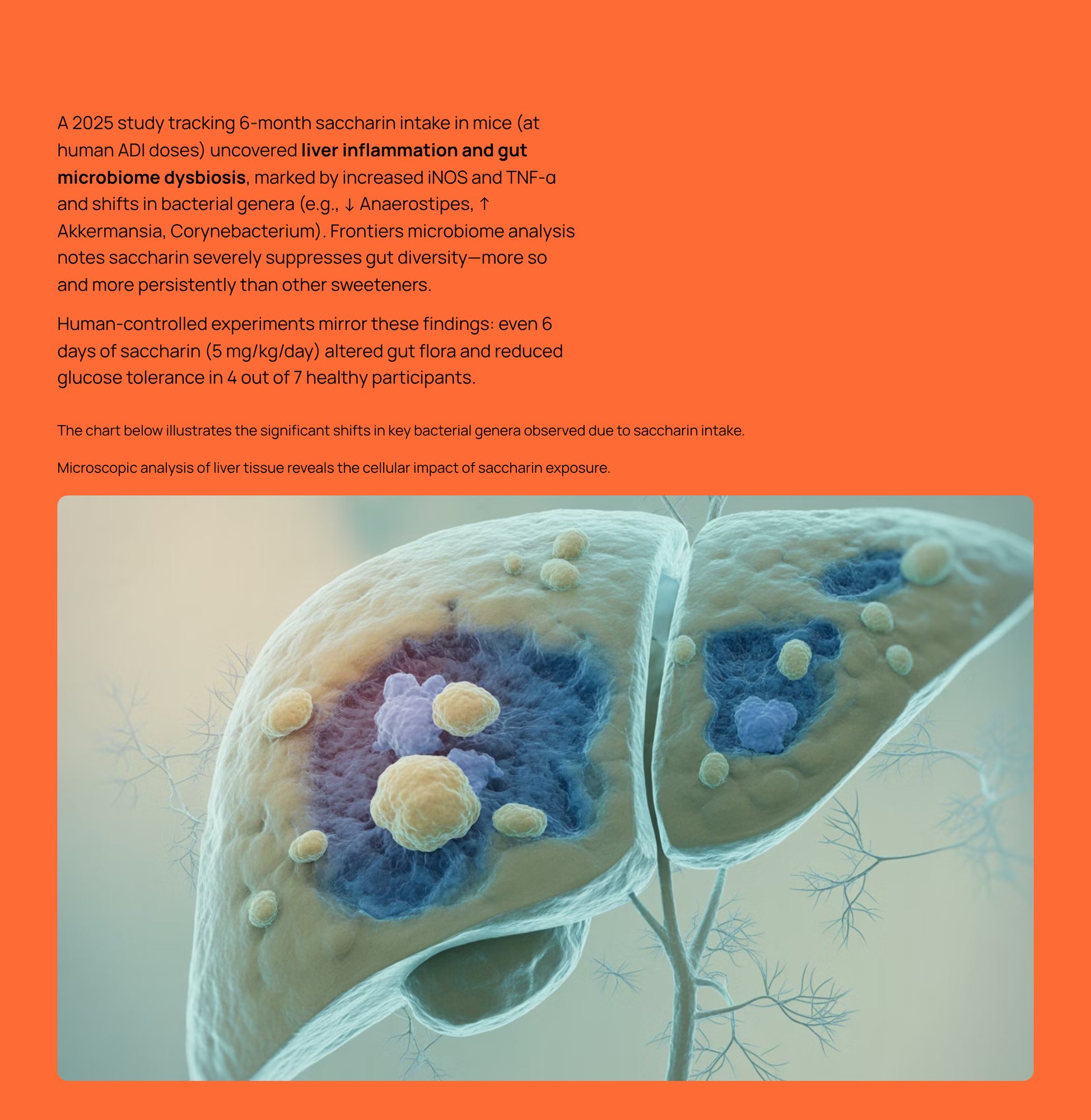 2_Modern-Microbiome-Disruption-1