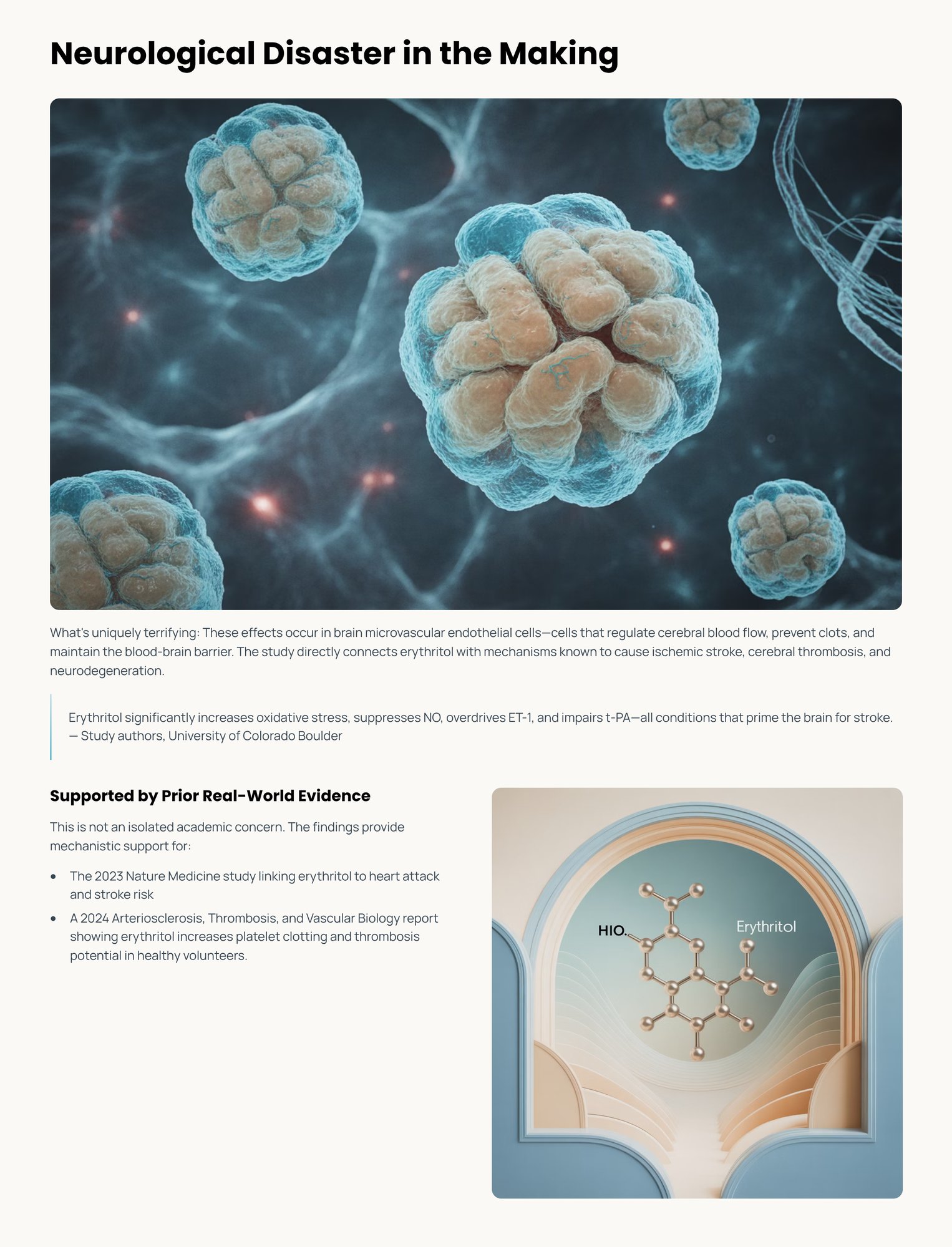 2_Neurological-Disaster-in-the-Making-1
