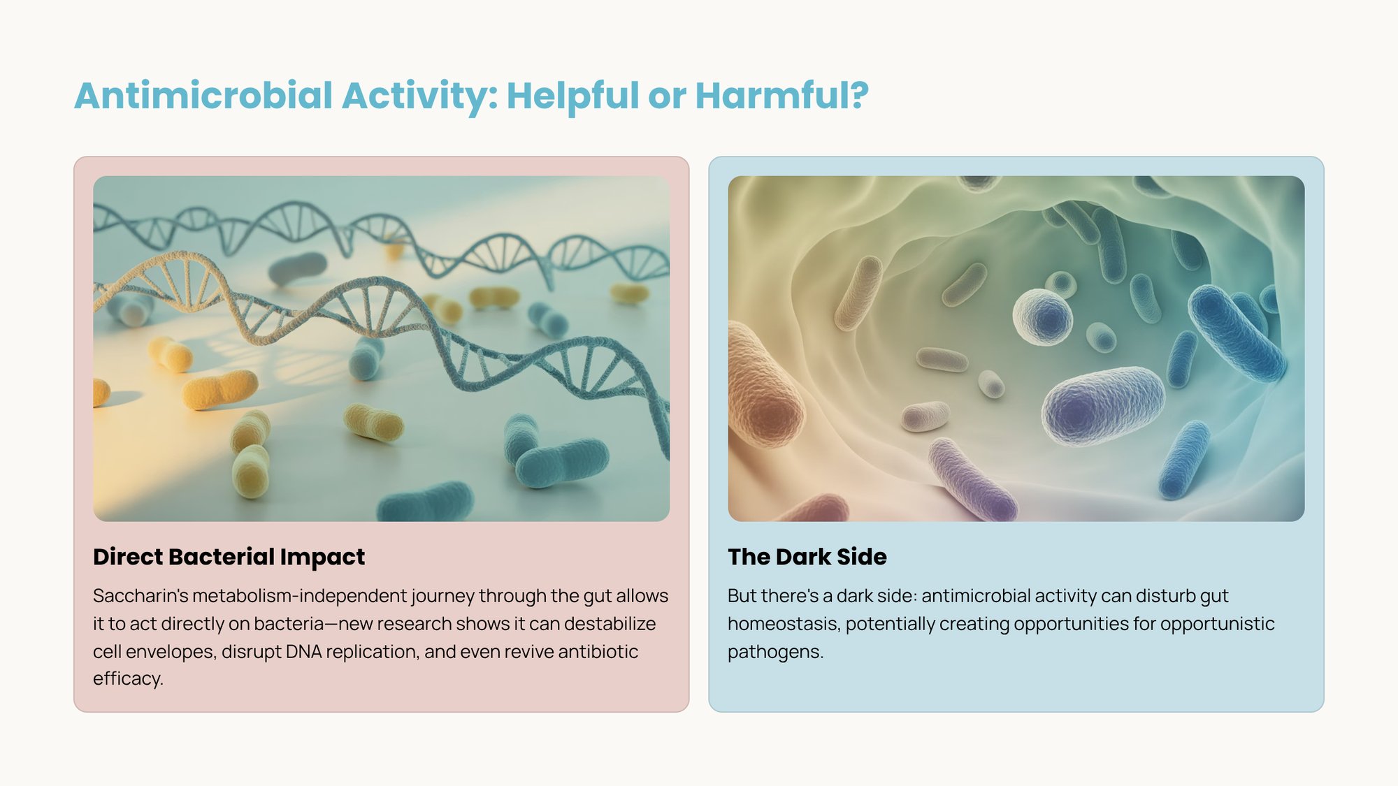 3_Antimicrobial-Activity-Helpful-or-Harmful-1