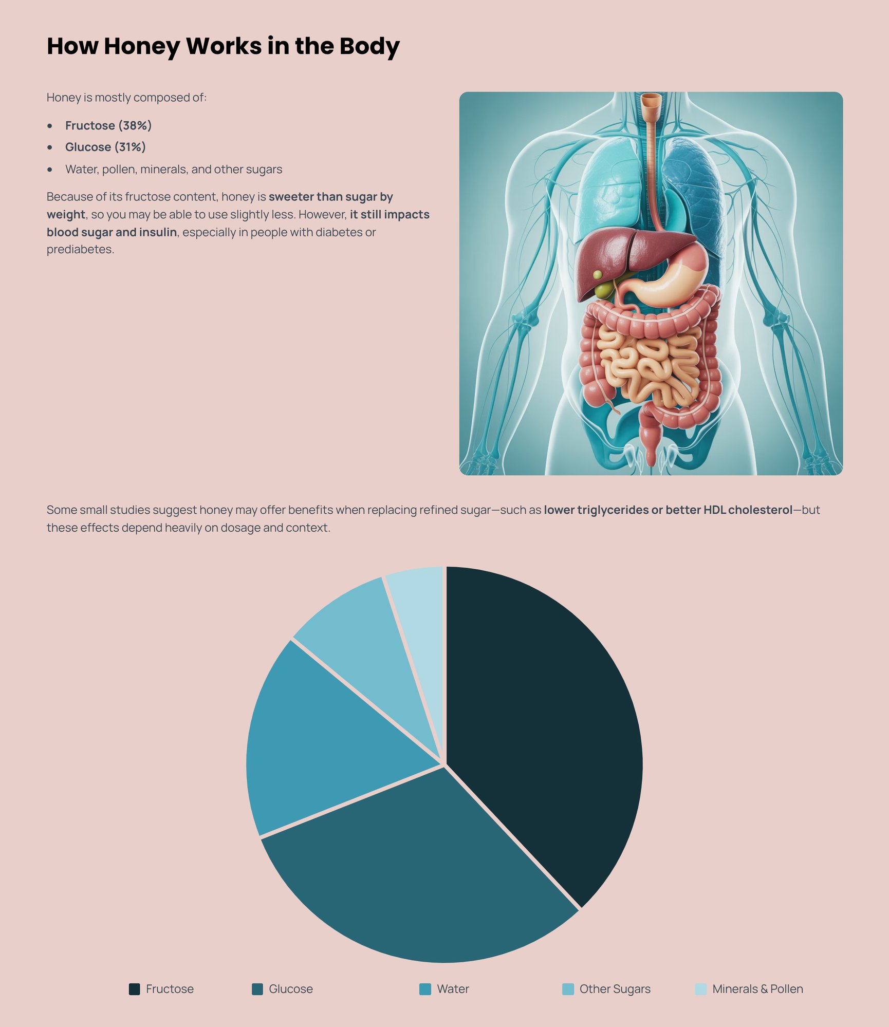 3_How-Honey-Works-in-the-Body-1