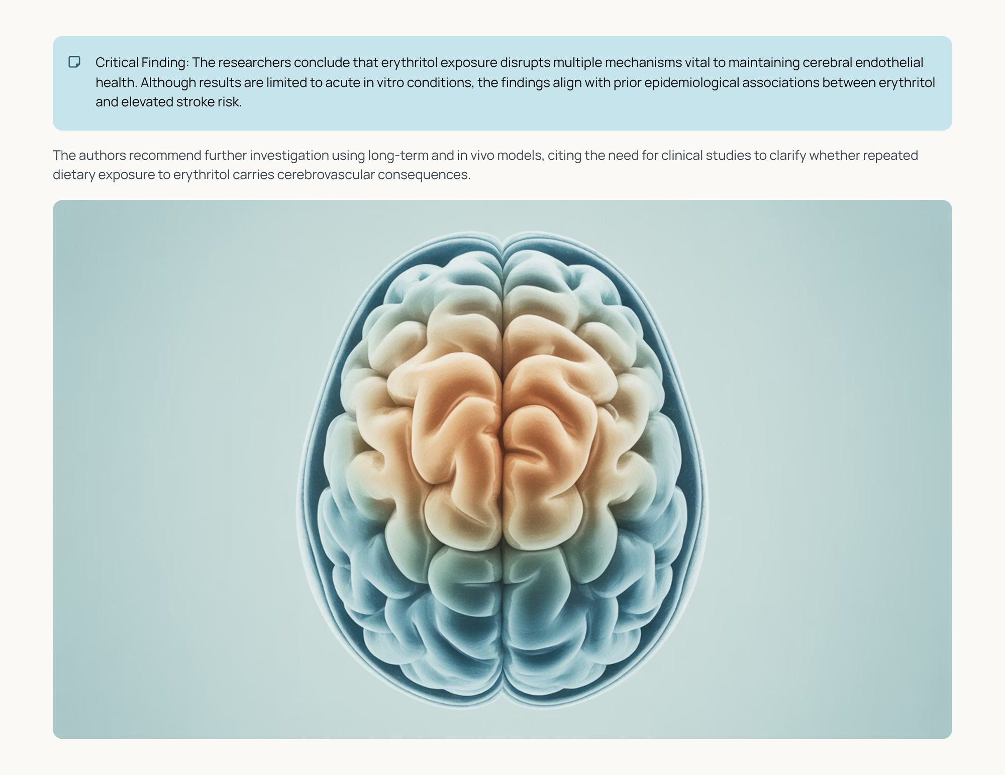 5_Critical-Finding-The-researchers-conclude-that-erythritol-exposure-disrupts-multiple-mechanisms-vita-1