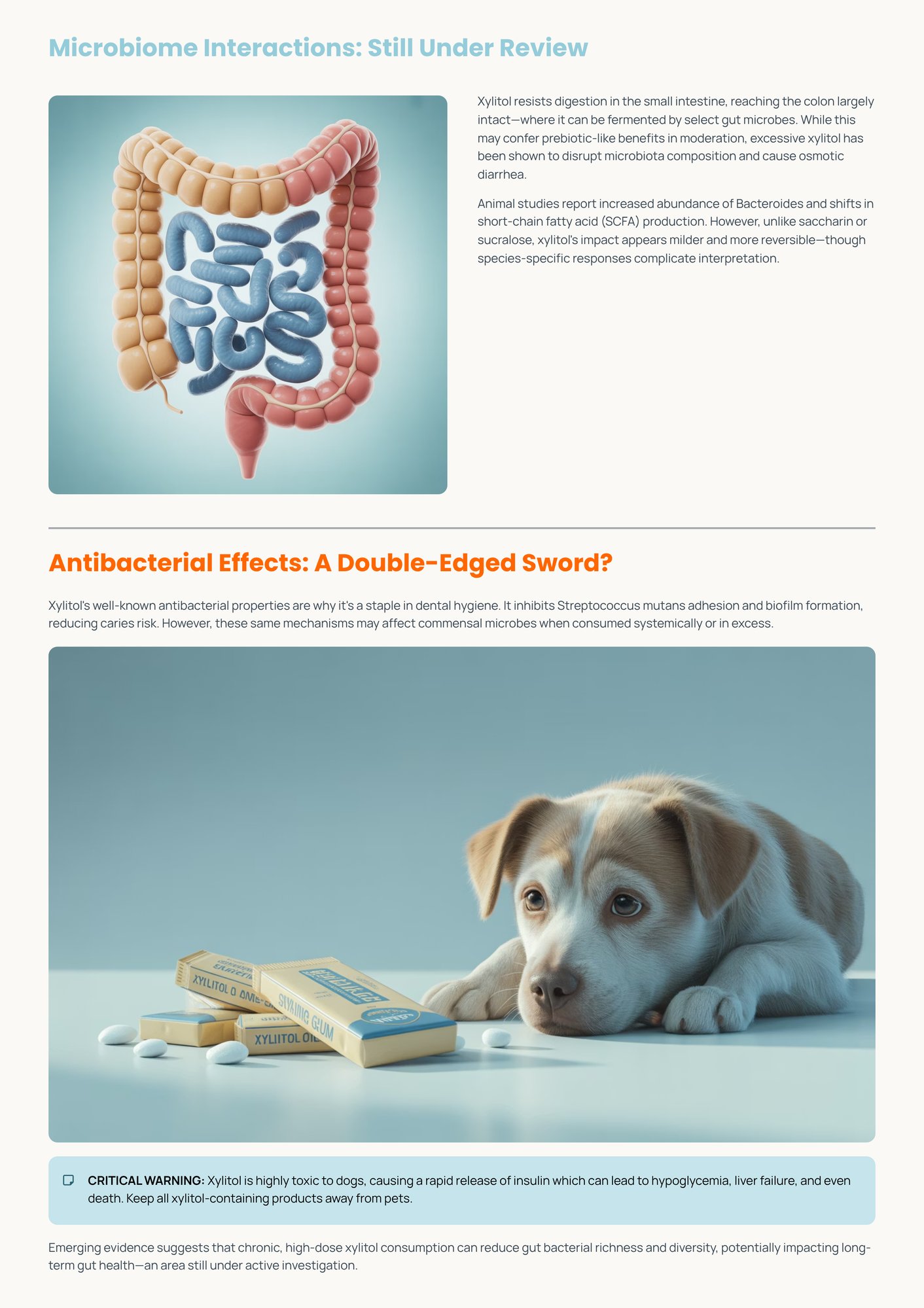 5_Microbiome-Interactions-Still-Under-Review-1