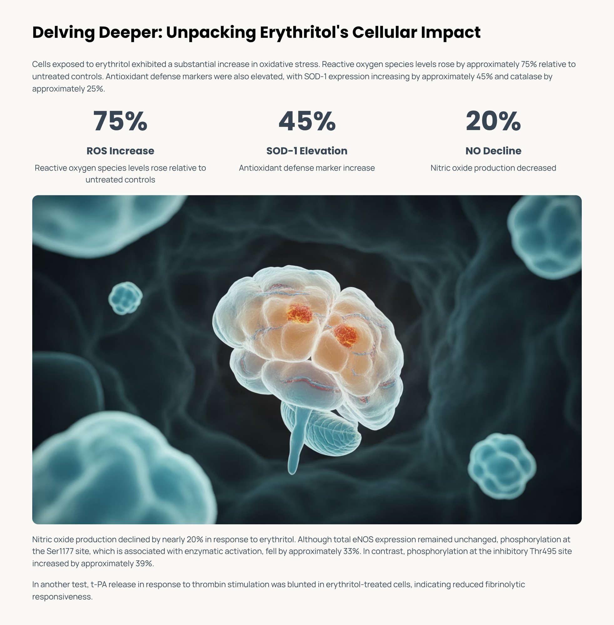6_Delving-Deeper-Unpacking-Erythritols-Cellular-Impact-1