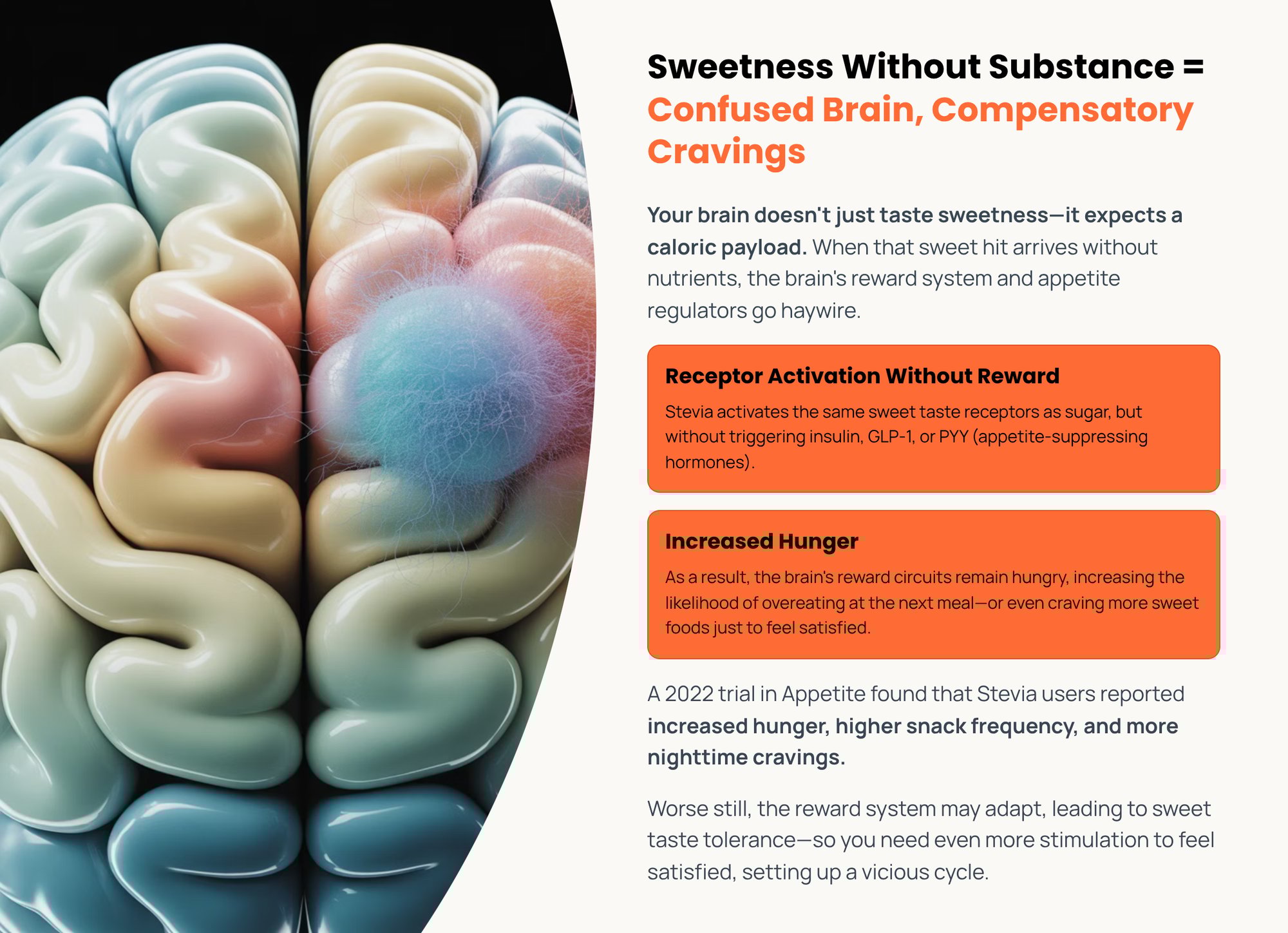 6_Sweetness-Without-Substance-Confused-Brain-Compensatory-Cravings-1
